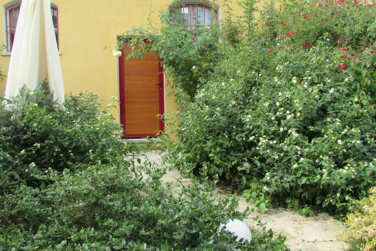 Cavalli Di S'arcaite Alloggio per agriturismo Santa Lucia (Sardinia)