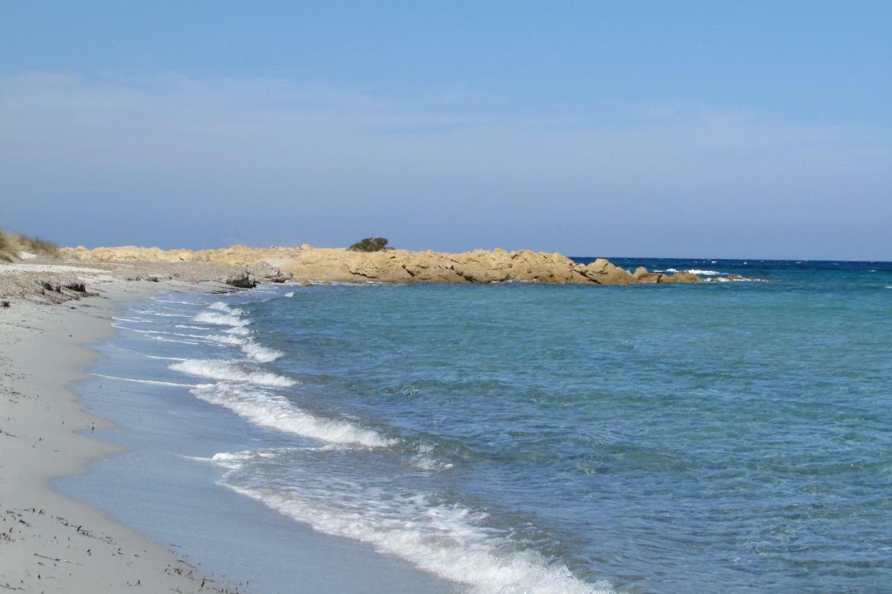 Cavalli Di S'arcaite Alloggio per agriturismo Santa Lucia (Sardinia)
