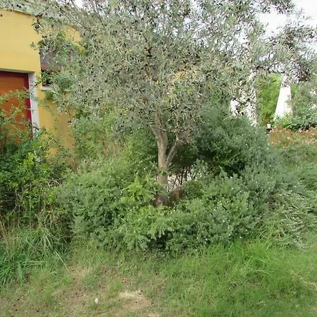 Cavalli Di S'Arcaite Santa Lucia  Exterior photo