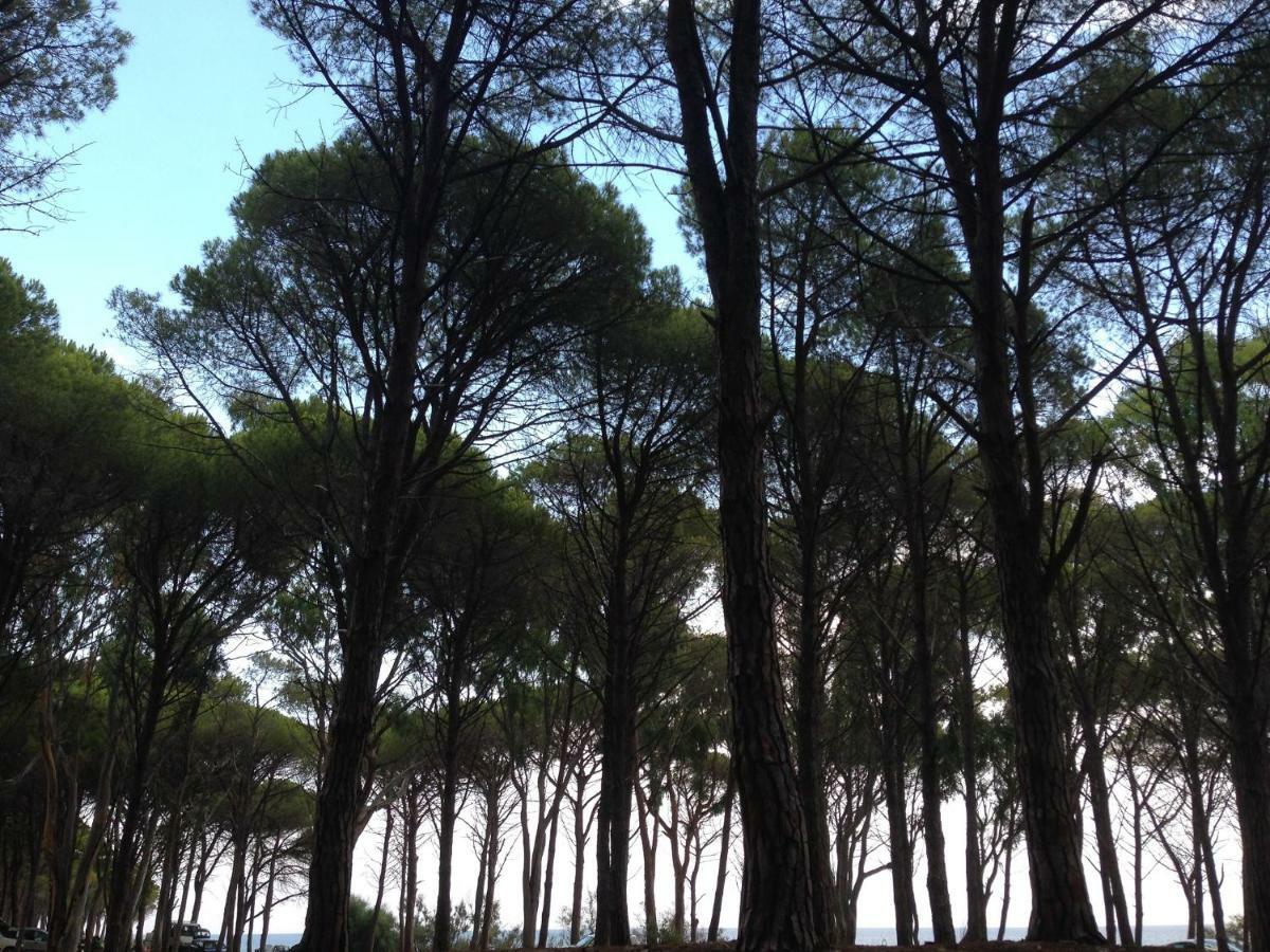 Cavalli Di S'arcaite Bauernhof *