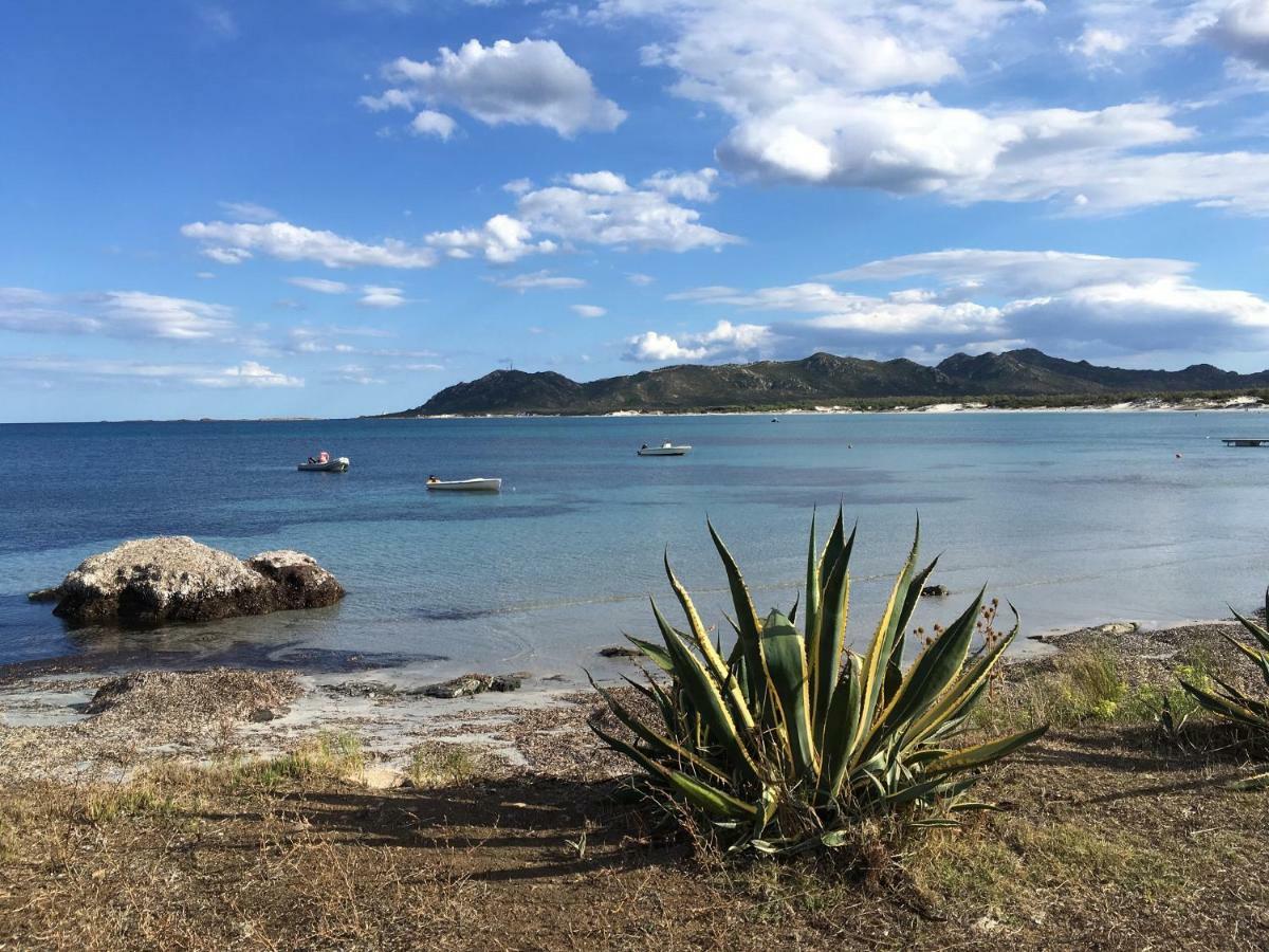 Cavalli Di S'arcaite * Santa Lucia (Sardinia)