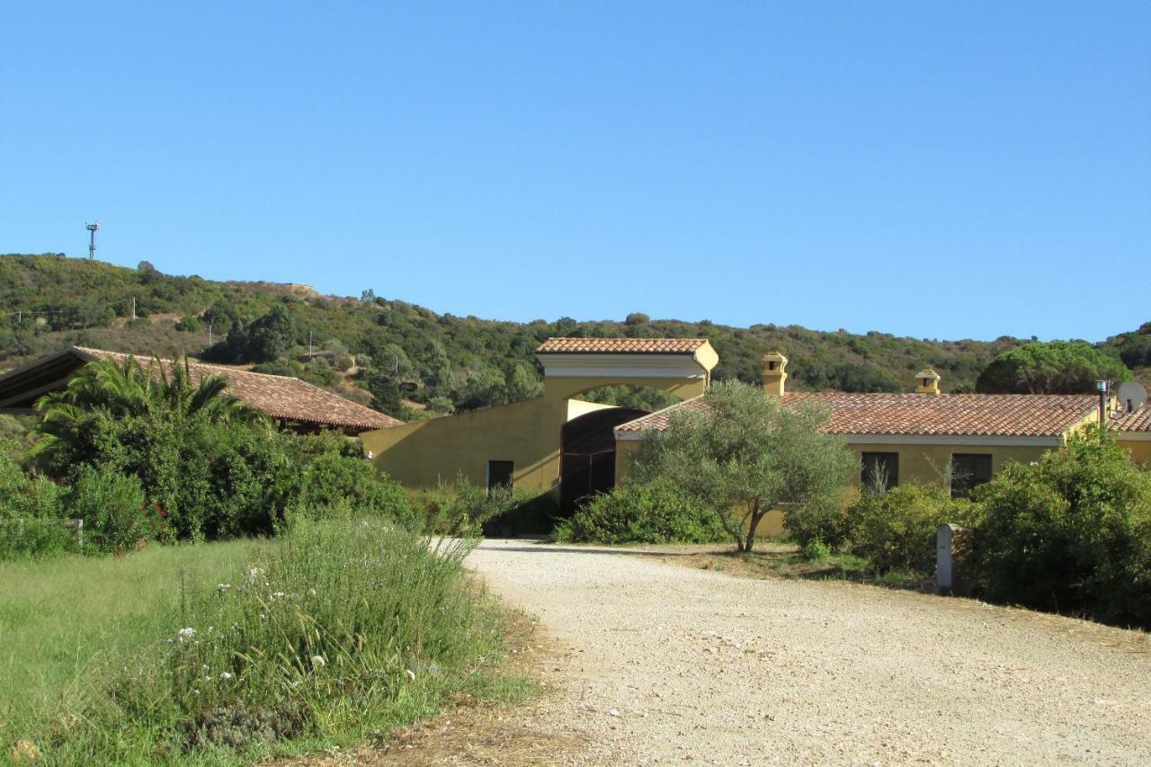 Cavalli Di S'arcaite Santa Lucia (Sardinia)