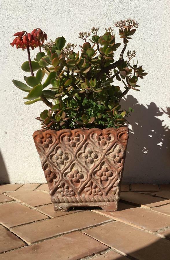 Cavalli Di S'arcaite * Santa Lucia (Sardinia)